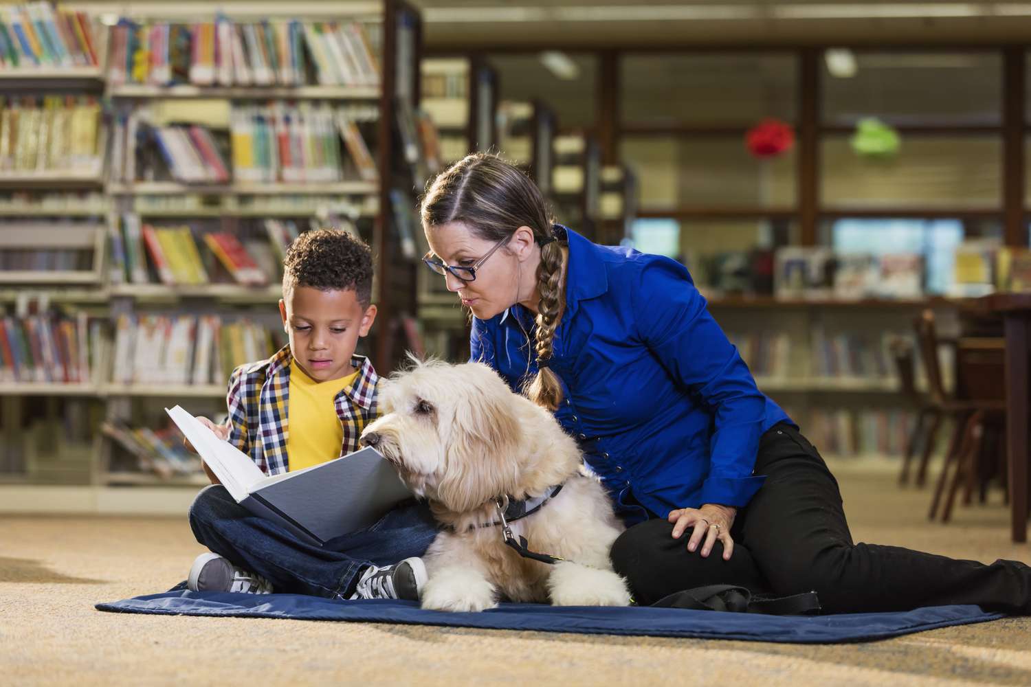 Animal assisted therapy